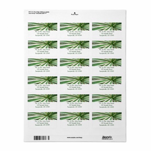 Agave Plant Green en White Striped Etiket (Full Sheet)