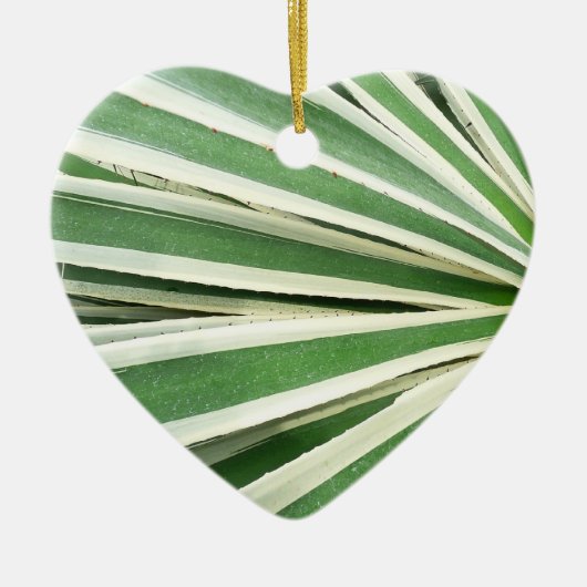 Agave Plant Green en White Striped Keramisch Ornament (Voorkant)