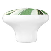 Agave Plant Green en White Striped Keramische Knop (Zijkant)