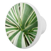 Agave Plant Green en White Striped Keramische Knop (Rechts)