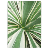 Agave Plant Green en White Striped Klembord (Achterkant)
