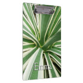 Agave Plant Green en White Striped Klembord (Rechts)