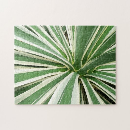Agave Plant Green en White Striped Legpuzzel (Horizontaal)