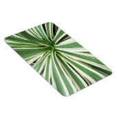 Agave Plant Green en White Striped Magneet (Rechterzijde)