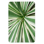 Agave Plant Green en White Striped Magneet (Verticaal)