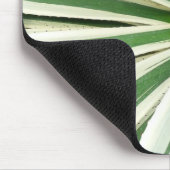 Agave Plant Green en White Striped Muismat (Hoek)