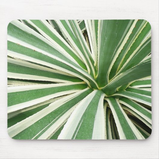 Agave Plant Green en White Striped Muismat (Voorkant)