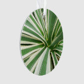 Agave Plant Green en White Striped Ornament (voorkant)