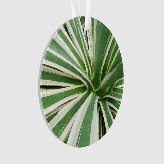 Agave Plant Green en White Striped Ornament (voorkant)