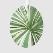 Agave Plant Green en White Striped Ornament (voorkant)