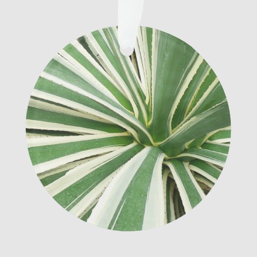 Agave Plant Green en White Striped Ornament (voorkant)