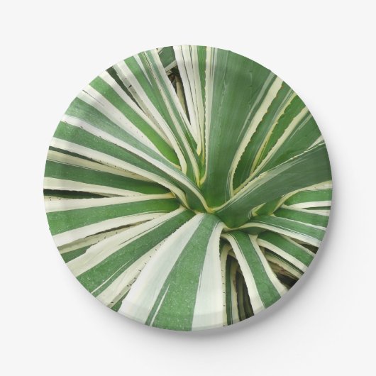 Agave Plant Green en White Striped Papieren Bordje (Voorkant)