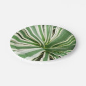Agave Plant Green en White Striped Papieren Bordje (Gekanteld)