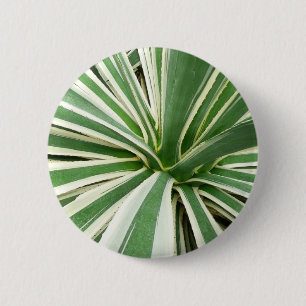 Agave Plant Green en White Striped Ronde Button 5,7 Cm