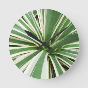 Agave Plant Green en White Striped Ronde Klok