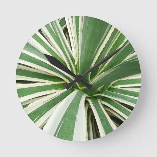 Agave Plant Green en White Striped Ronde Klok (Voorkant)