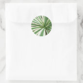 Agave Plant Green en White Striped Ronde Sticker (Tas)