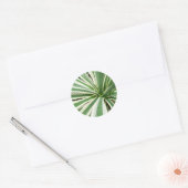 Agave Plant Green en White Striped Ronde Sticker (Envelop)