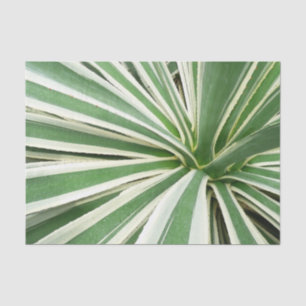 Agave Plant Green en White Striped Tissuepapier