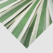 Agave Plant Green en White Striped Tissuepapier (Detail)