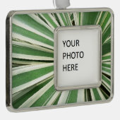 Agave Plant Green en White Striped Verzilverd Omlijst Ornament (Rechts)