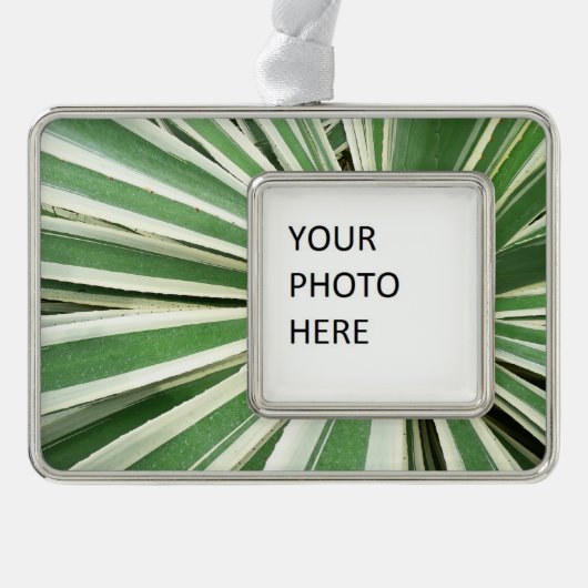 Agave Plant Green en White Striped Verzilverd Omlijst Ornament (Voorkant)