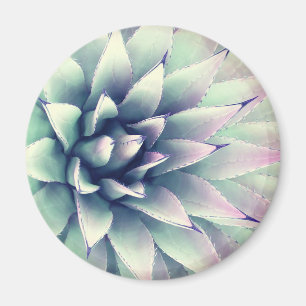 Agave Plant Magneet