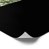 Agave Plant Poster, afdrukken Poster (Hoek)