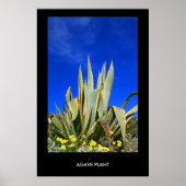 Agave Plant Poster, afdrukken Poster (Voorkant)