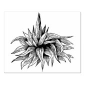  Agave Plant Rubber Art Stempel (Afrduk)