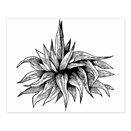  Agave Plant Rubber Art Stempel (Afrduk)