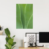 Agave Plant sluiten Poster (Thuiskantoor)