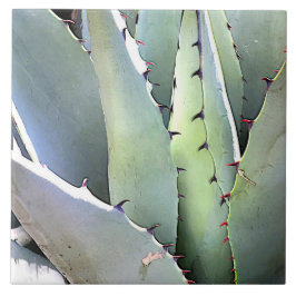 Agave Plant Succulent Blue Cacti botanische woesti Tegeltje