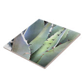 Agave Plant Succulent Blue Cacti botanische woesti Tegeltje (Zijkant)