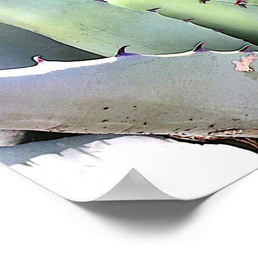 Agave Plant Succulent Blue Cacti Tequila woestijn Poster (Hoek)