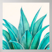 Agave Poster (Voorkant)