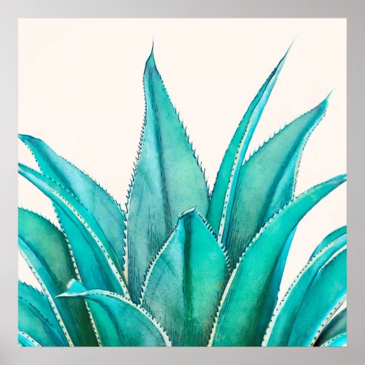 Agave Poster (Voorkant)