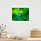 Agave Poster (Keuken)