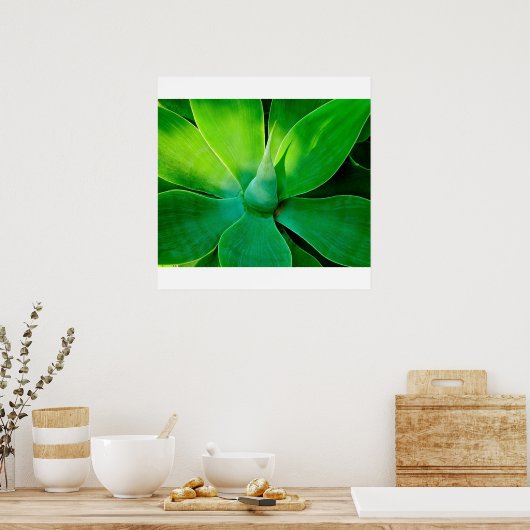 Agave Poster (Keuken)