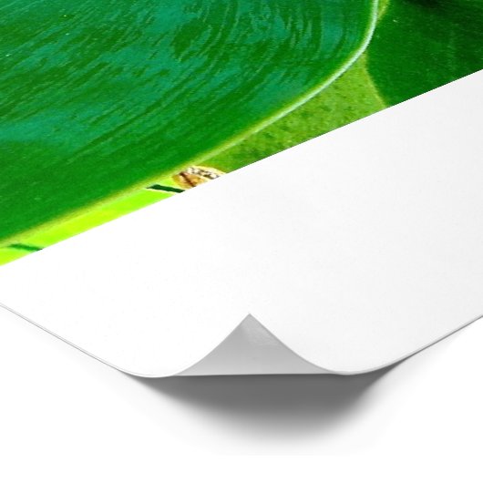 Agave Poster (Hoek)