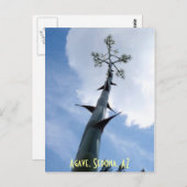 Agave, Sedona, AZ Briefkaart (Voorkant / Achterkant)