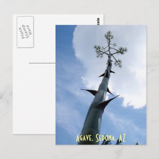Agave, Sedona, AZ Briefkaart (Voorkant / Achterkant)