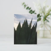 Agave Skyroraketten Briefkaart (Staand voorkant)