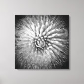 Agave Spikes Black en White Southwest Canvas Afdruk (Voorkant)