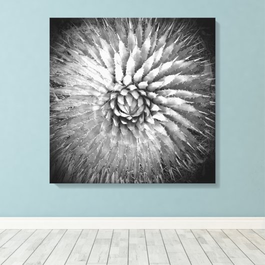 Agave Spikes Black en White Southwest Canvas Afdruk (Insitu (Houten vloer))