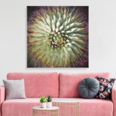 Agave Spikes Green Fine Art Square Canvas Afdruk (Insitu (Woonkamer))