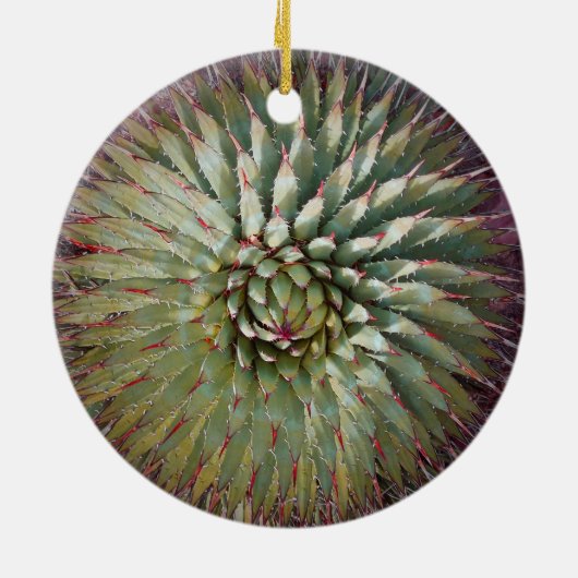 Agave Spikes Groene en Paarse Vakantie Keramisch Ornament (Achterkant)