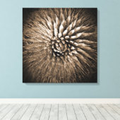 Agave Spikes Sepia Print op Canvas 22" x 22" (Insitu (Houten vloer))
