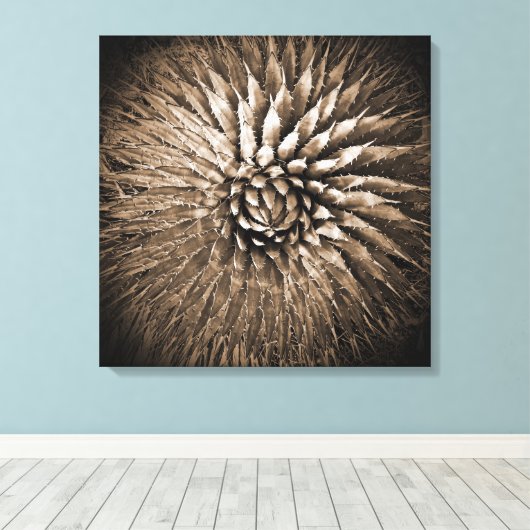 Agave Spikes Sepia Print op Canvas 22" x 22" (Insitu (Houten vloer))