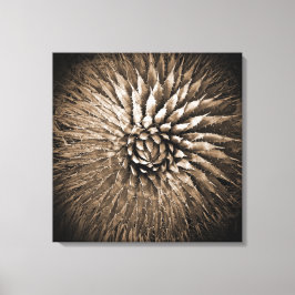 Agave Spikes Sepia Print op Canvas 22" x 22"